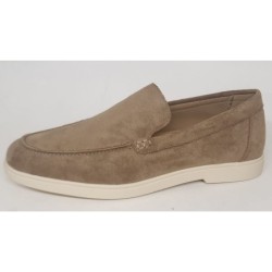 MOCASIN GALAX