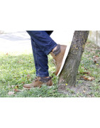 Botas